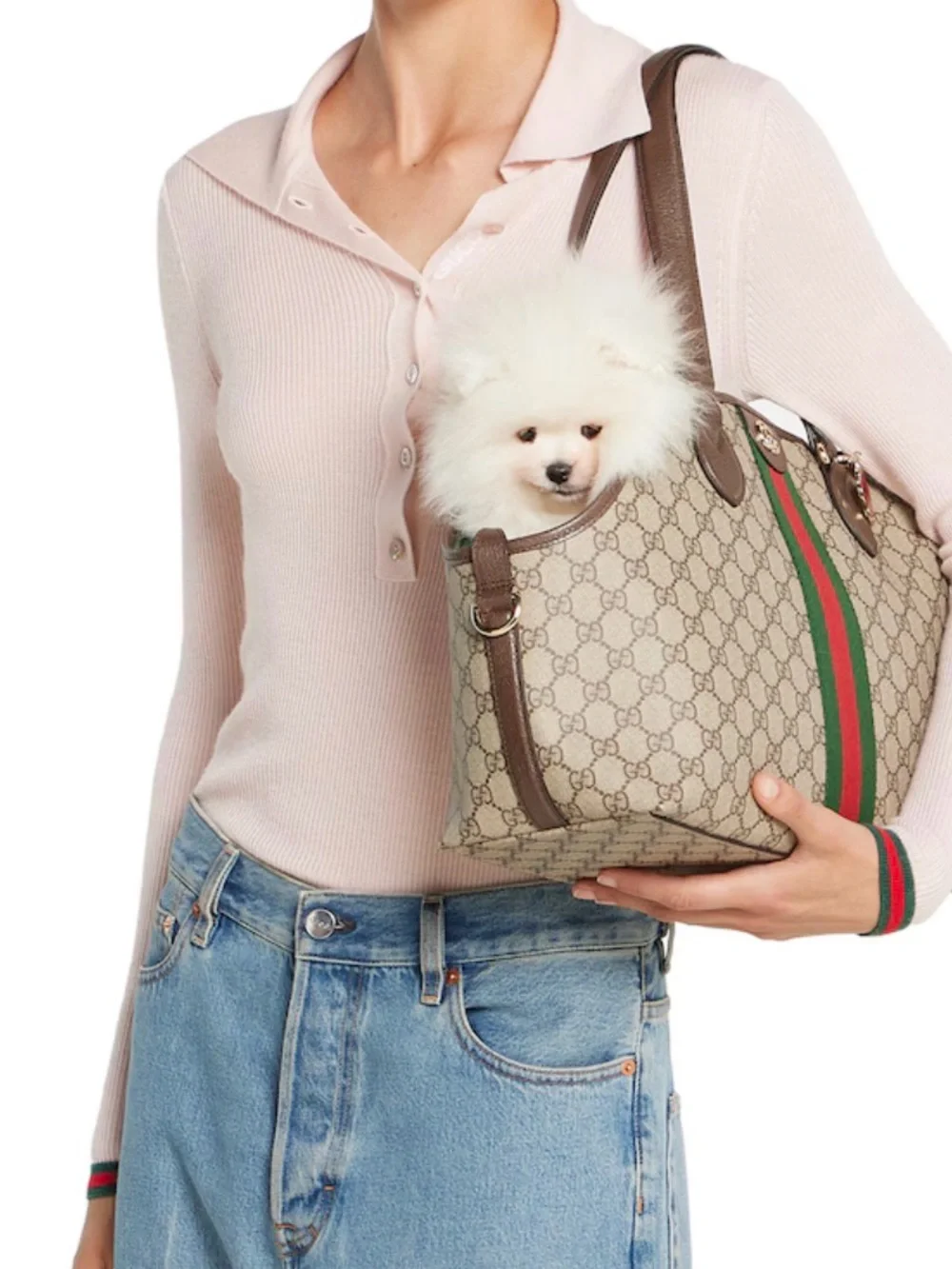 Beige pet carrier with Green and Red Web Stripe